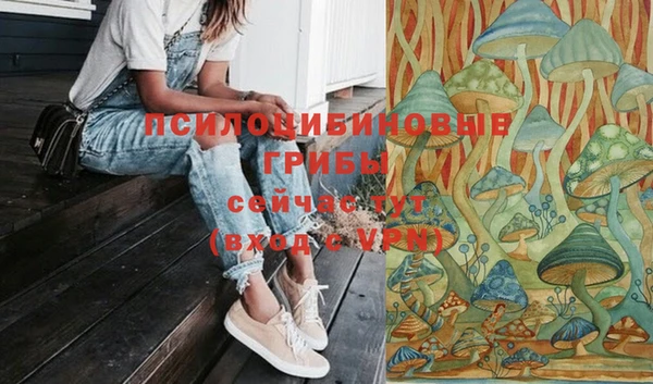 дживик Семёнов